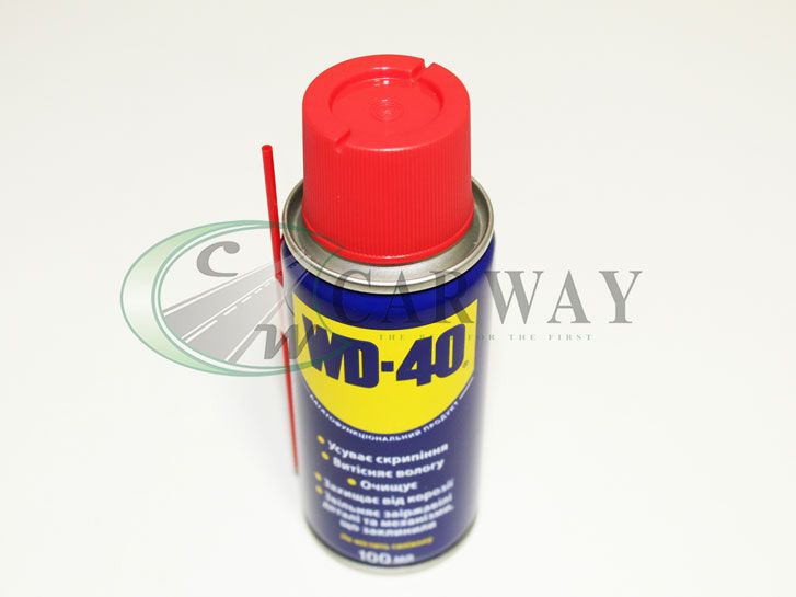 Смазка универсальная WD-40 (0,1 л) Compani Ltd.